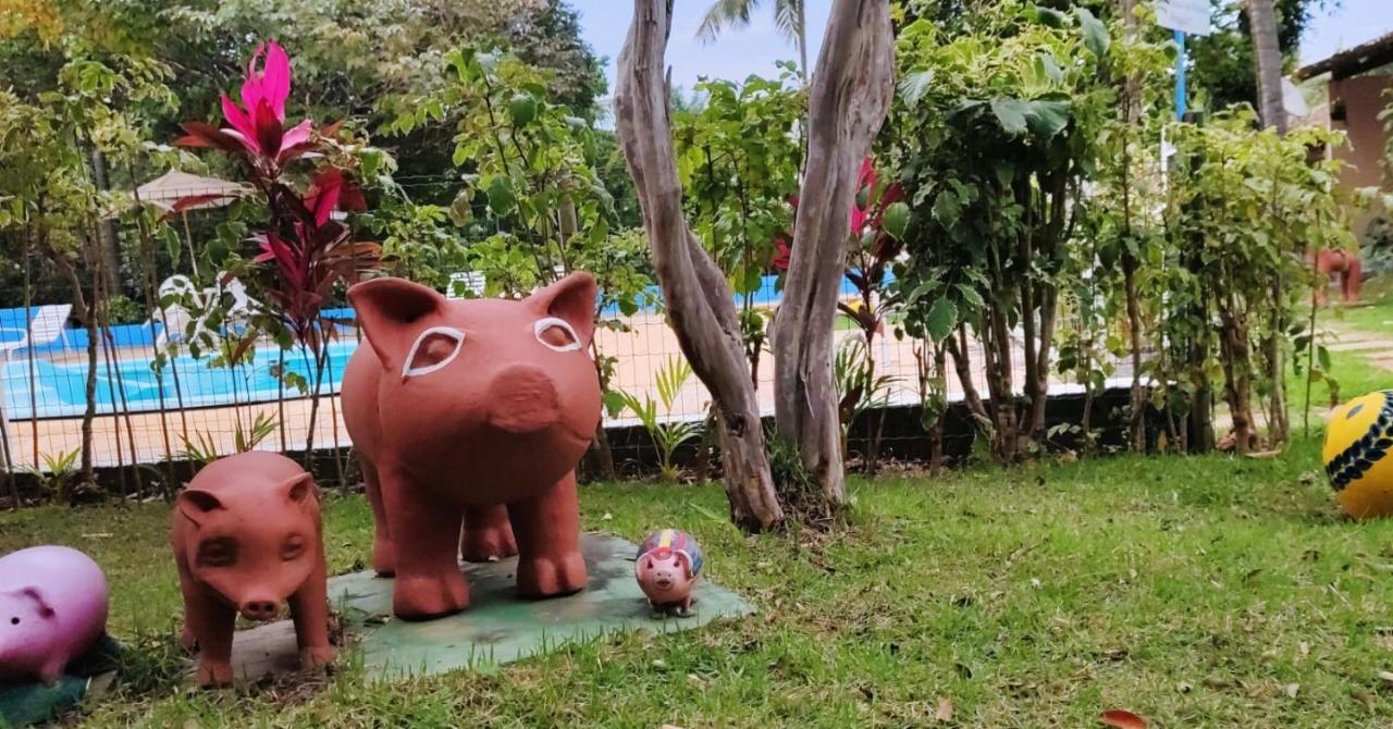 Pousada Ecogreen Imbassai Mata de Sao Joao Luaran gambar
